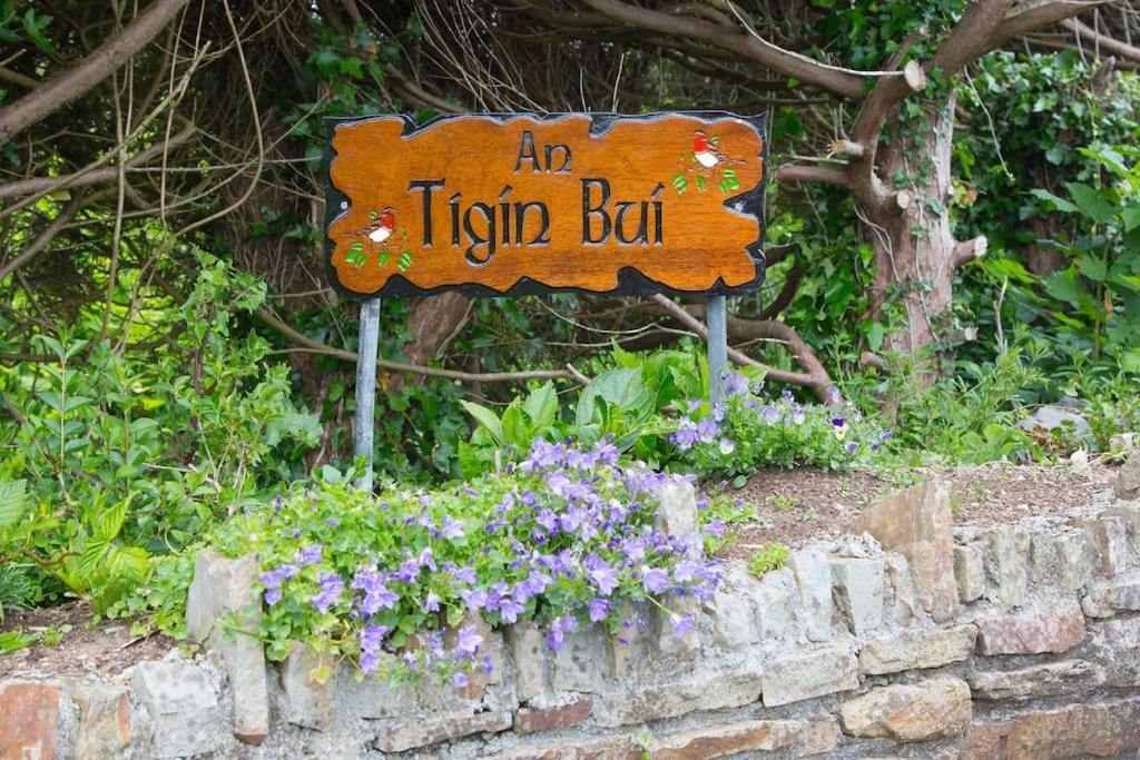 Villa An Tigin Bui Glanbannoo Upper Exterior foto